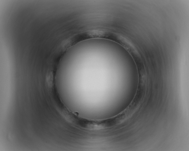 X0000112020498200908101405