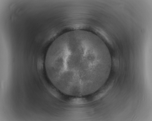 X0000112020499200908101405