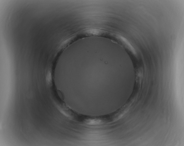 X0000112020500200908101405