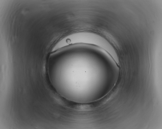 X0000112020501200908101405