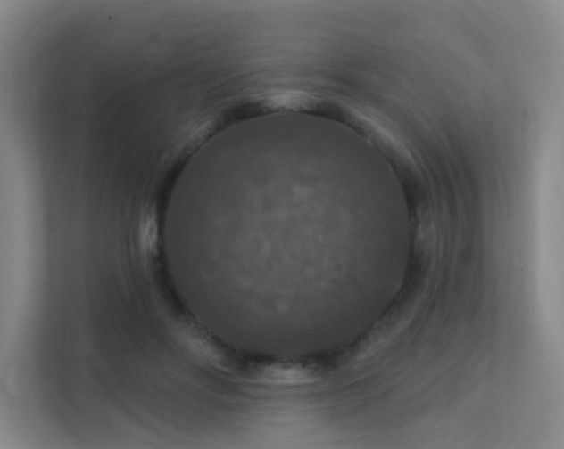 X0000112020502200908101405