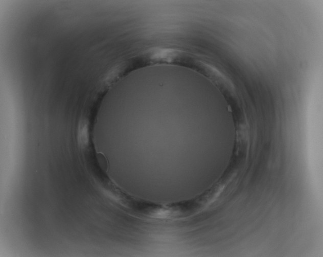 X0000112020504200908101405