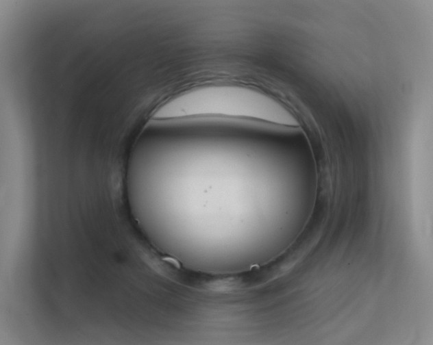 X0000112020505200908101405