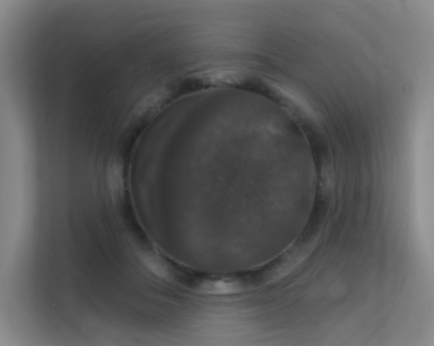 X0000112020506200908101405