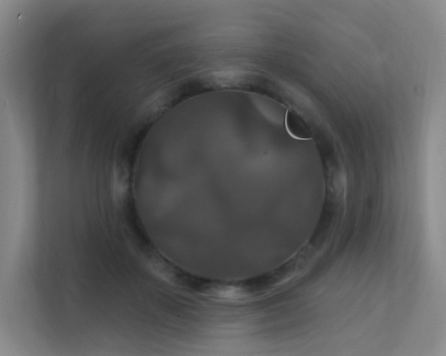 X0000112020507200908101405