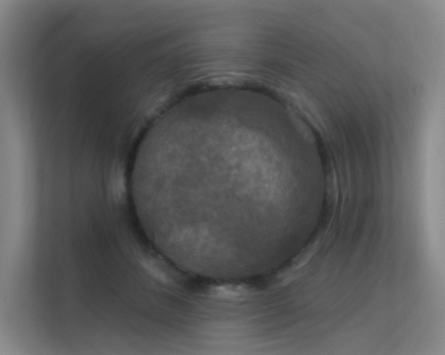 X0000112020508200908101405