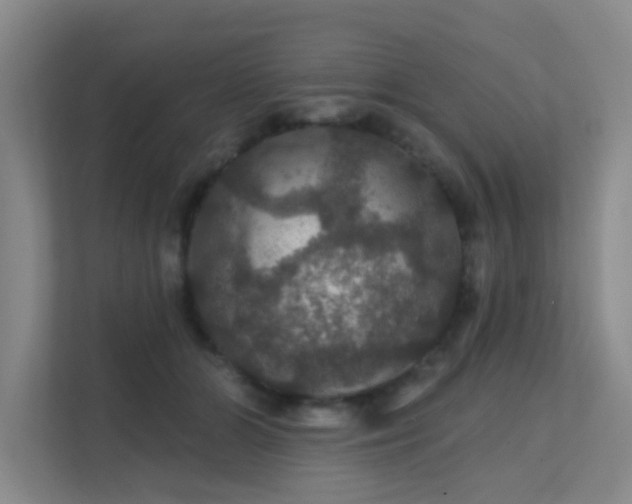 X0000112020510200908101405