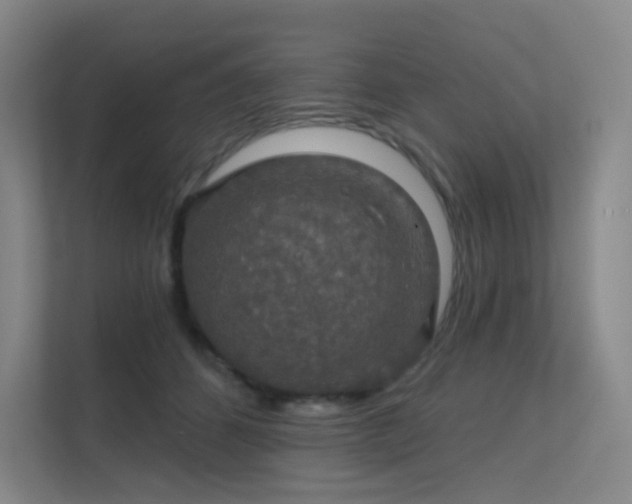 X0000112020512200908101405