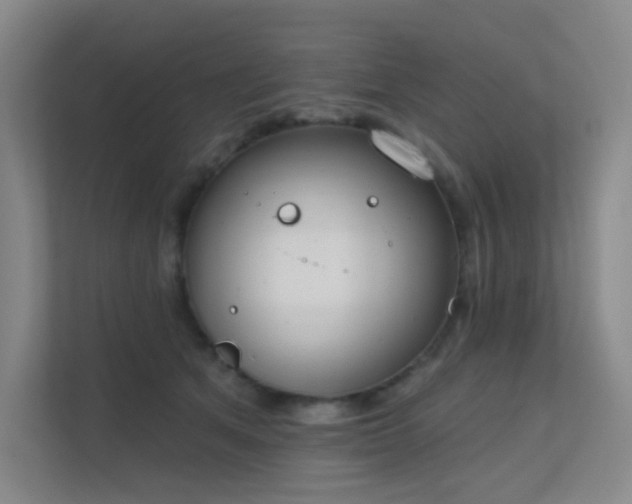 X0000112020513200908101405