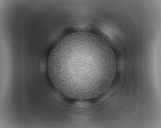 X0000112020515200908101405