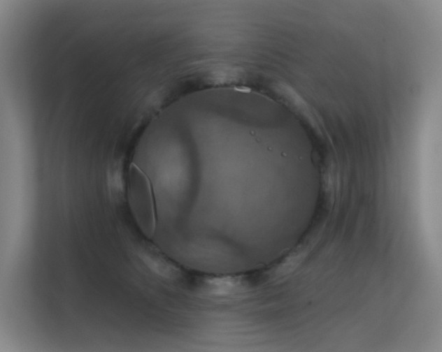 X0000112020516200908101405