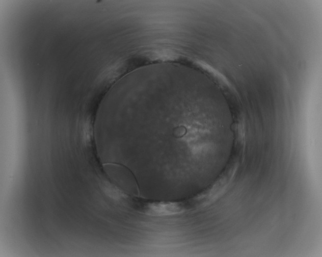 X0000112020517200908101405