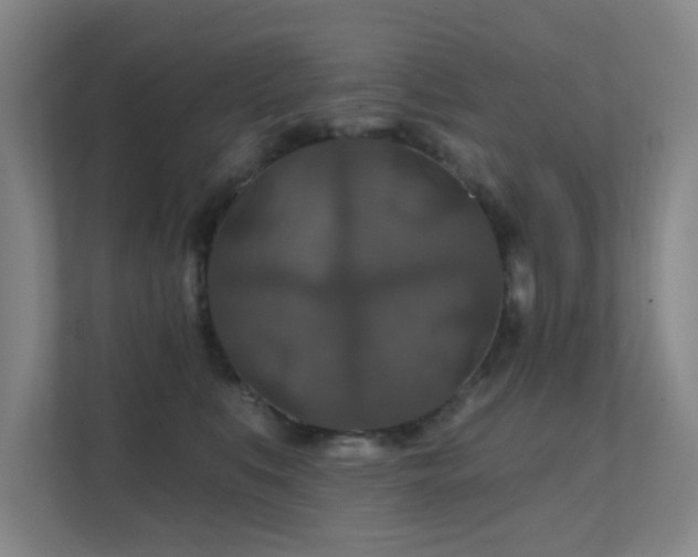 X0000112020519200908101405