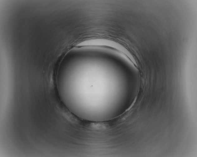 X0000112020520200908101405