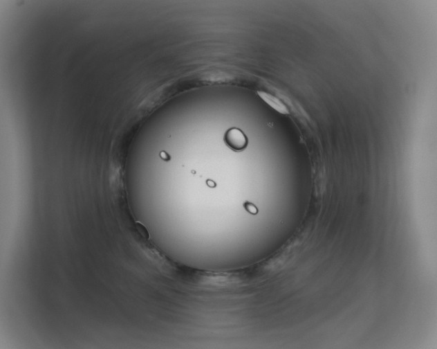 X0000112020521200908101405