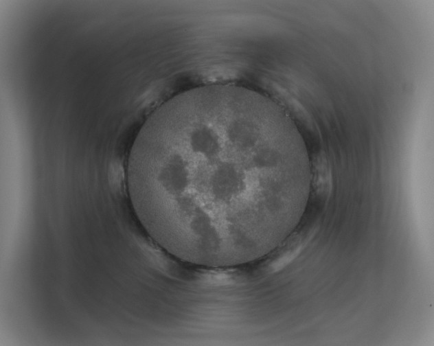 X0000112020523200908101405