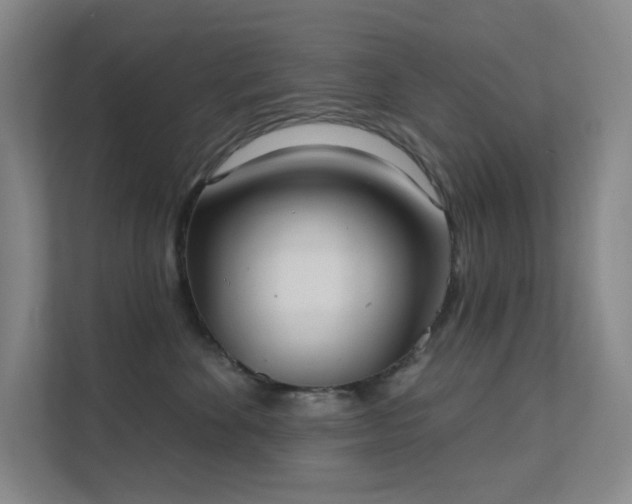 X0000112020524200908101405