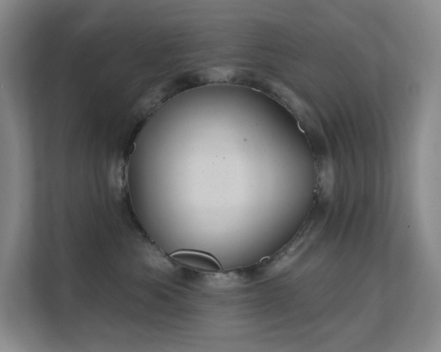 X0000112020525200908101405