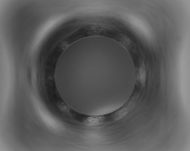 X0000112020526200908101405