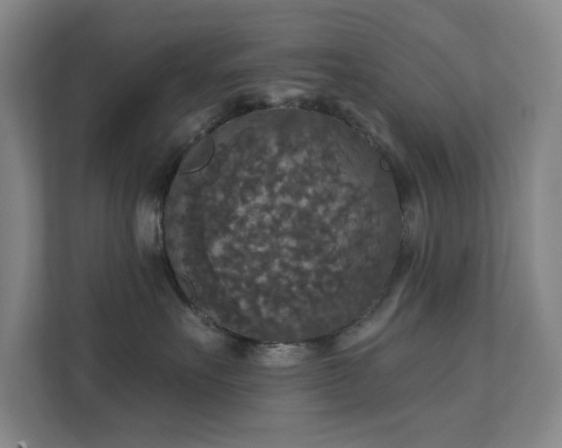 X0000112020527200908101405