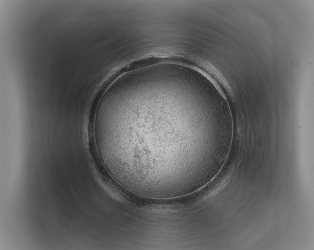 X0000112020530200908101404