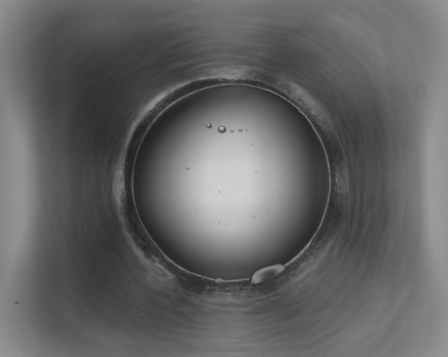 X0000112020532200908101404