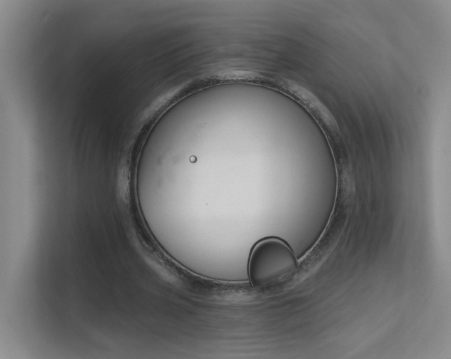 X0000112020533200908101404