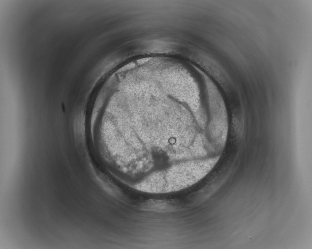 X0000112020534200908101404