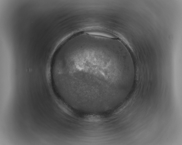 X0000112020535200908101404