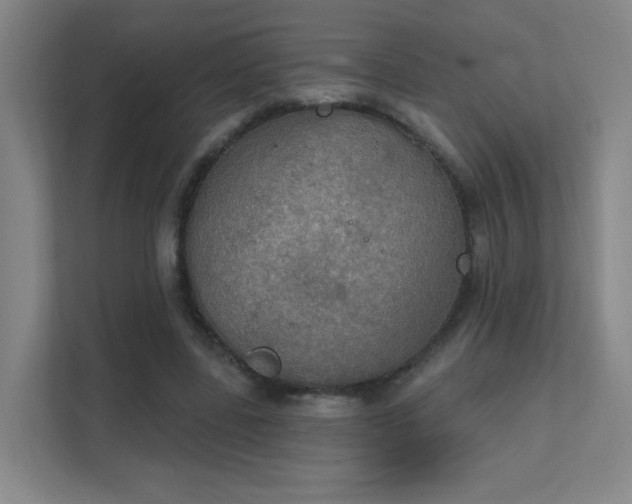 X0000112020539200908101404