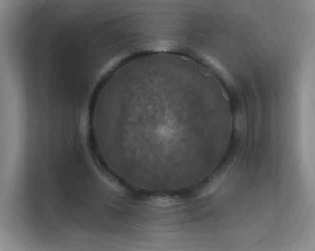 X0000112020540200908101404