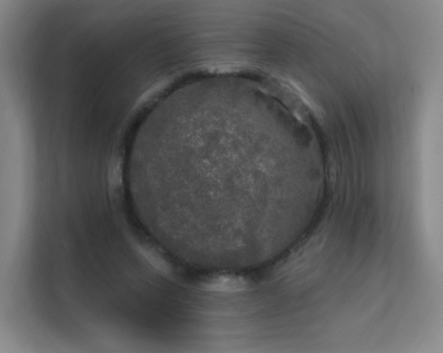 X0000112020543200908101404