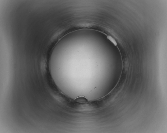 X0000112020544200908101404