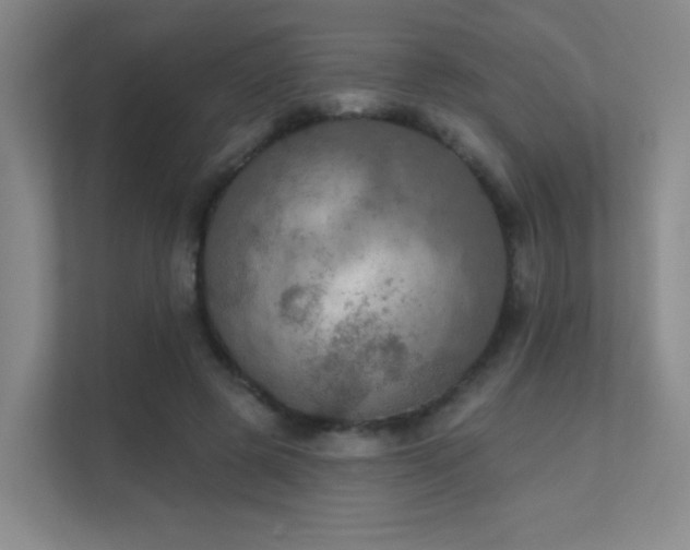 X0000112020545200908101404