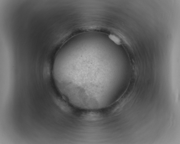 X0000112020546200908101404