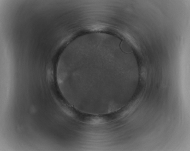 X0000112020547200908101404