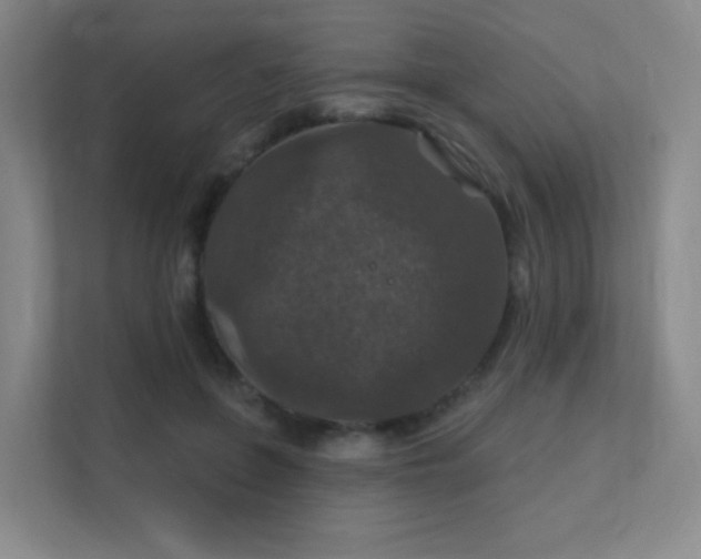 X0000112020551200908101404