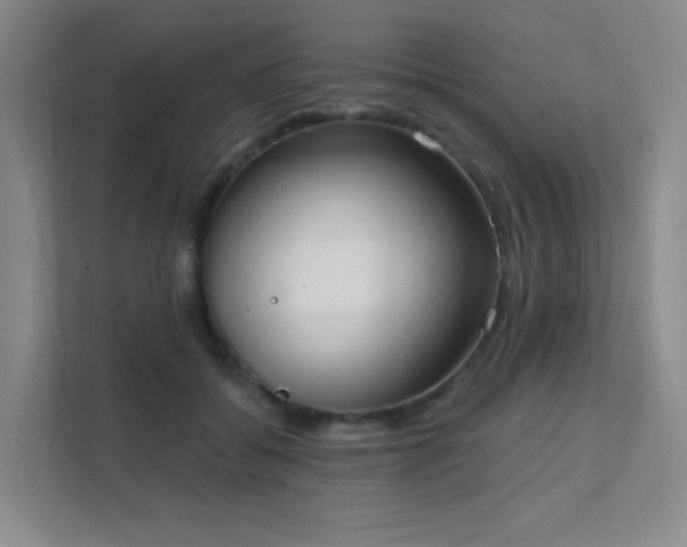 X0000112020556200908101404