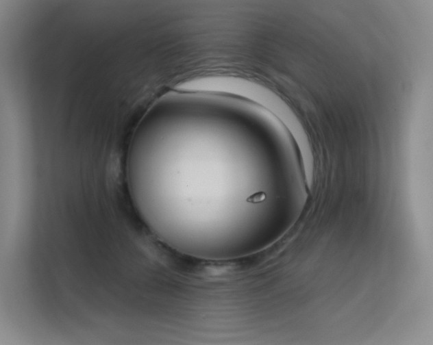 X0000112020560200908101404