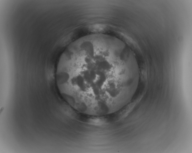 X0000112020561200908101404