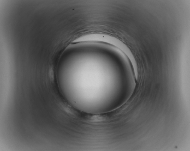 X0000112020562200908101404