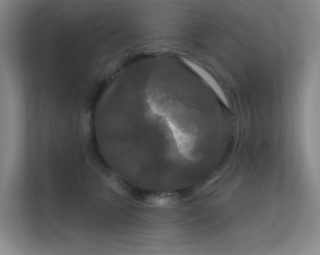 X0000112020563200908101404