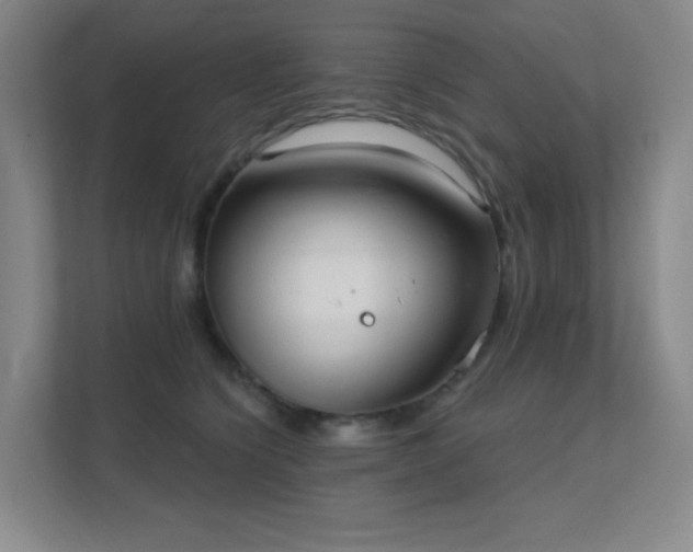 X0000112020564200908101404