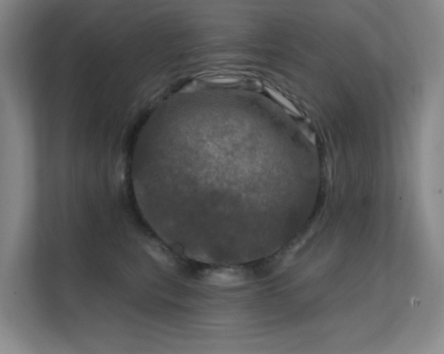 X0000112020567200908101404