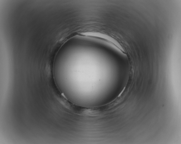 X0000112020568200908101405