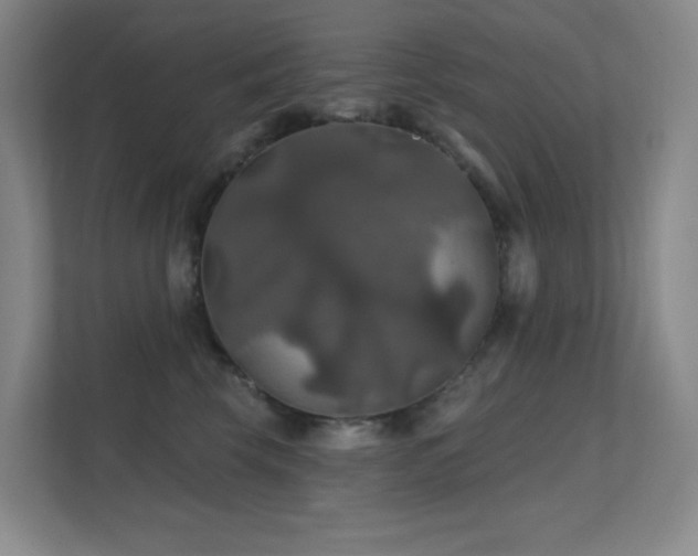 X0000112020569200908101405