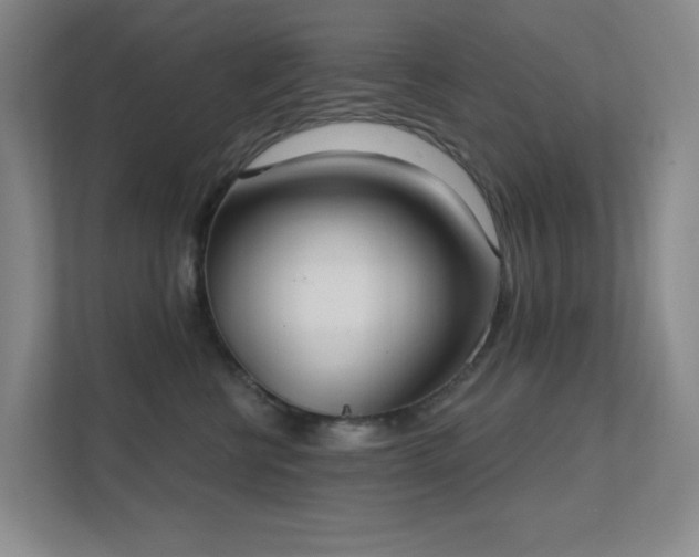 X0000112020570200908101405