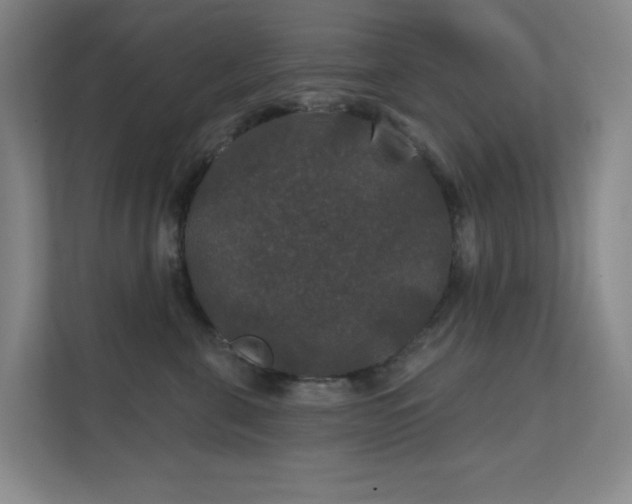 X0000112020571200908101405