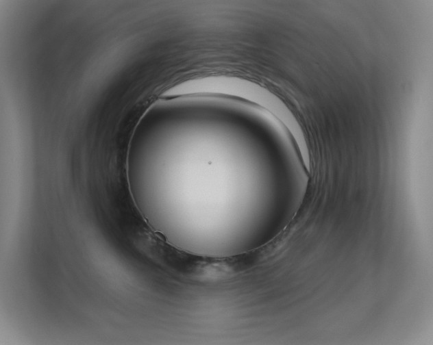 X0000112020572200908101405