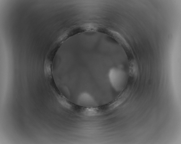 X0000112020573200908101405